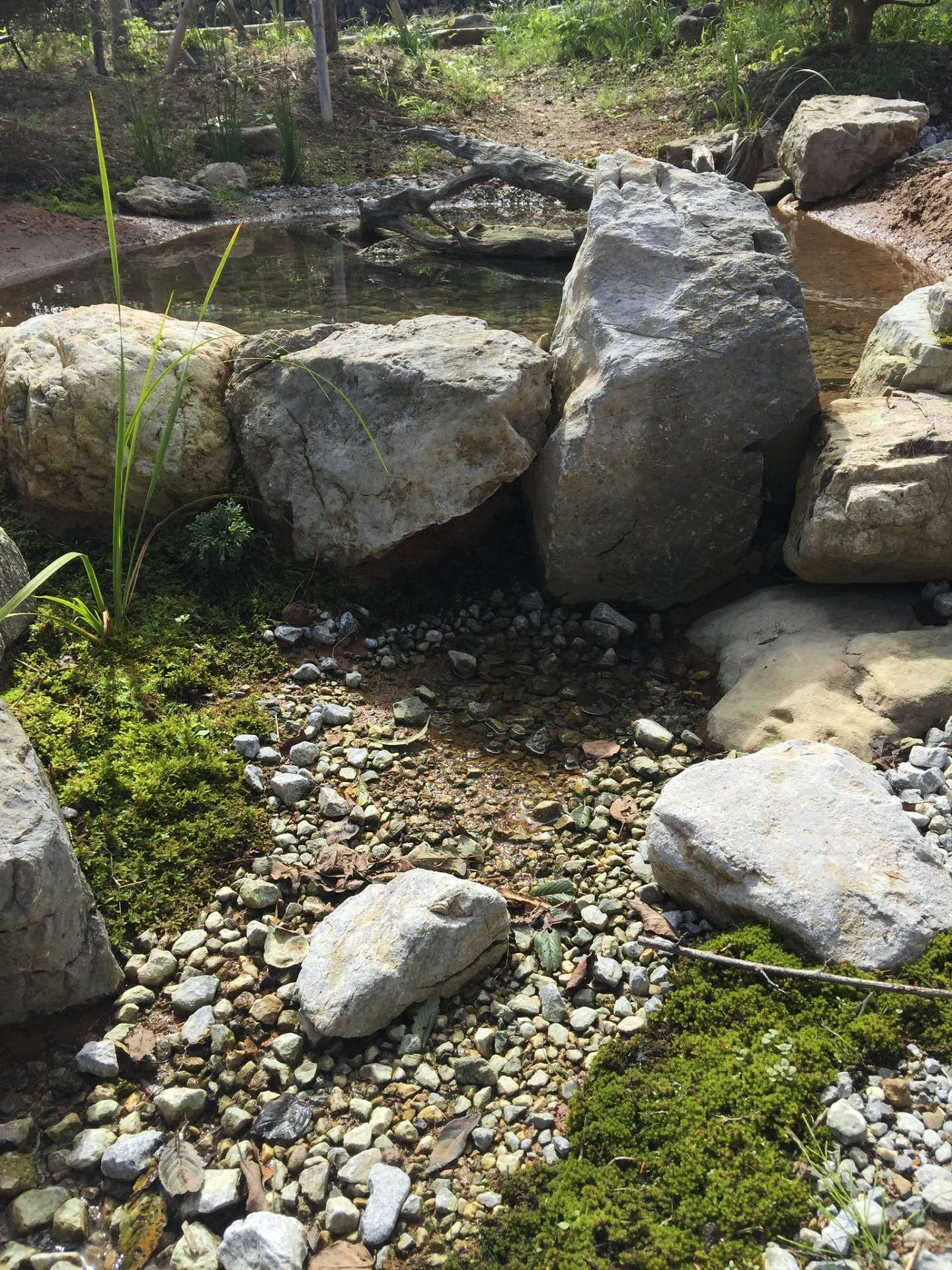 自然素材で庭づくり｜庭に粘土だけで池をつくる