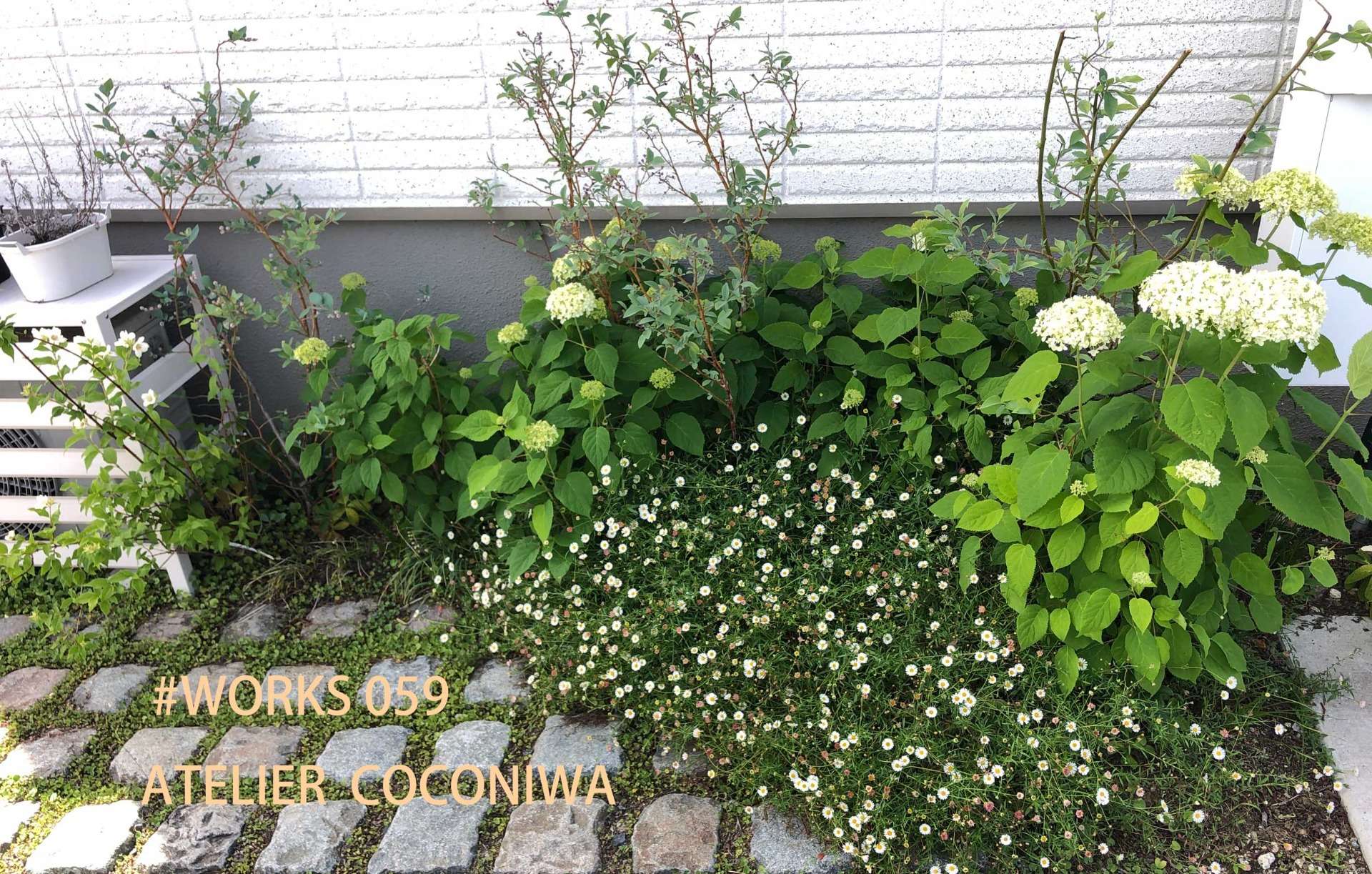 お庭訪問 | 植物の成長のチカラ　#WORKS 059