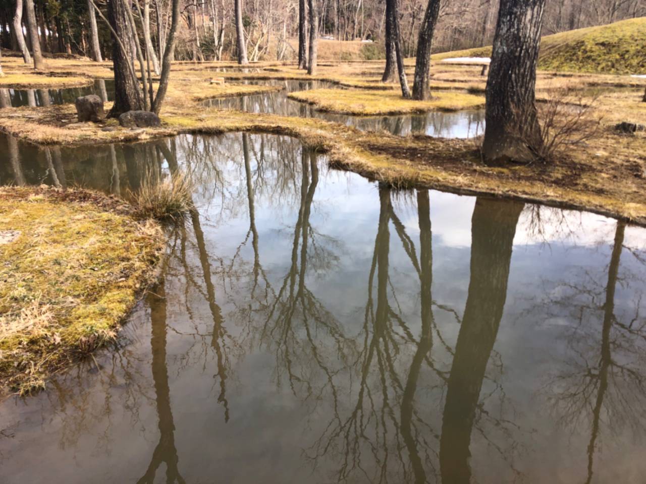 水庭の冬景色